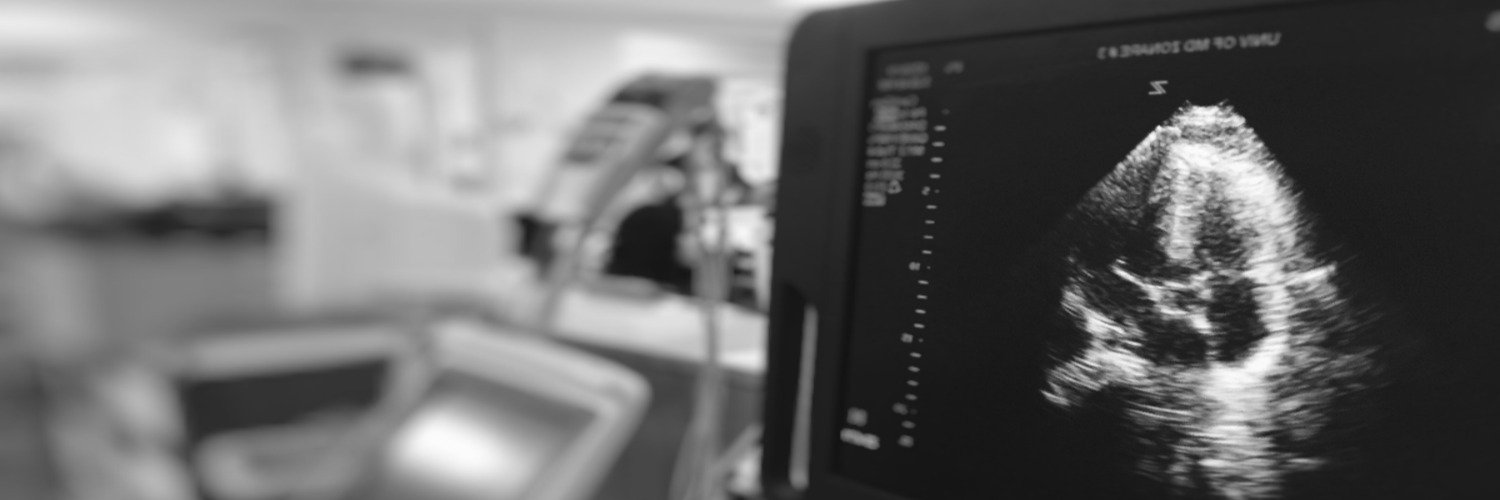 University of Maryland AEMUS banner