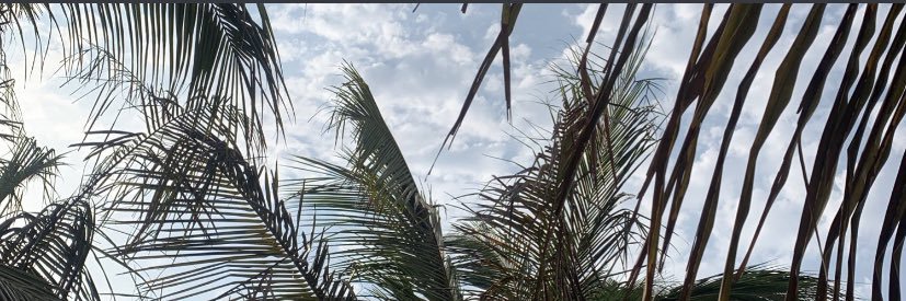 iillnc's profile banner image
