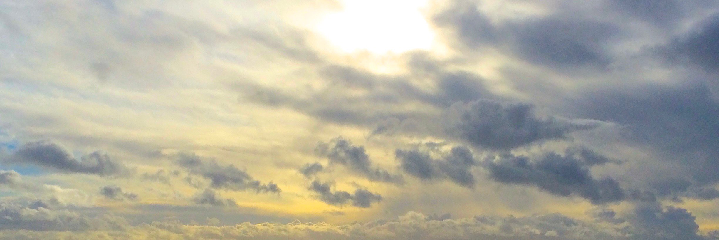 charly_dalby's profile banner image