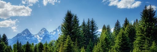 Tom_Dalton_'s profile banner image