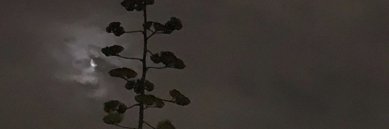 jaaylanx's profile banner image