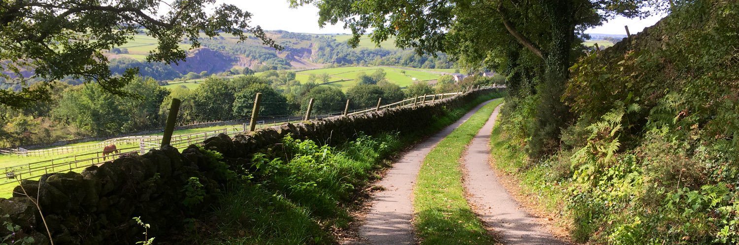 Rebecca Field banner