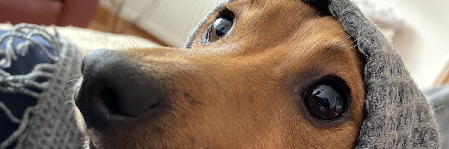 angelee_ch's profile banner image