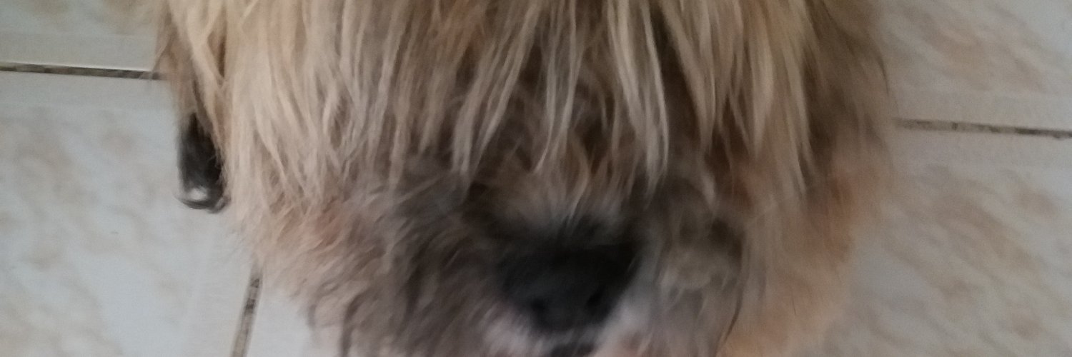 guillermostro's profile banner image