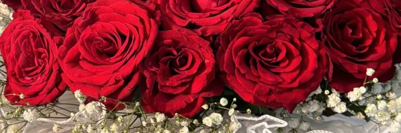 naj2225's profile banner image