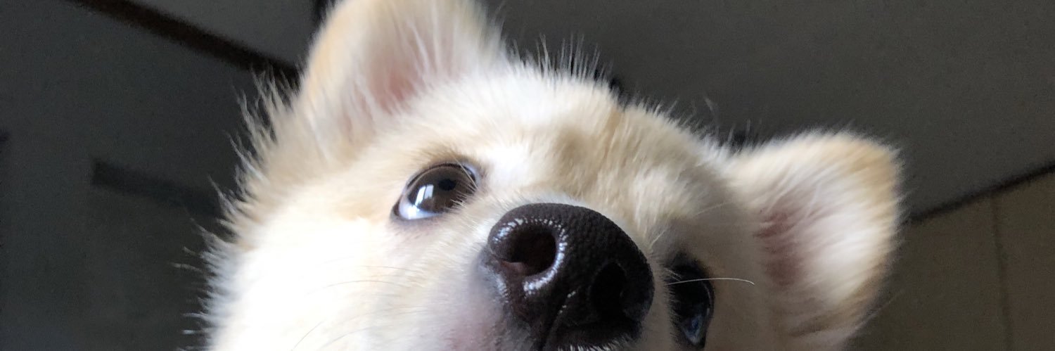 Daneelllll's profile banner image