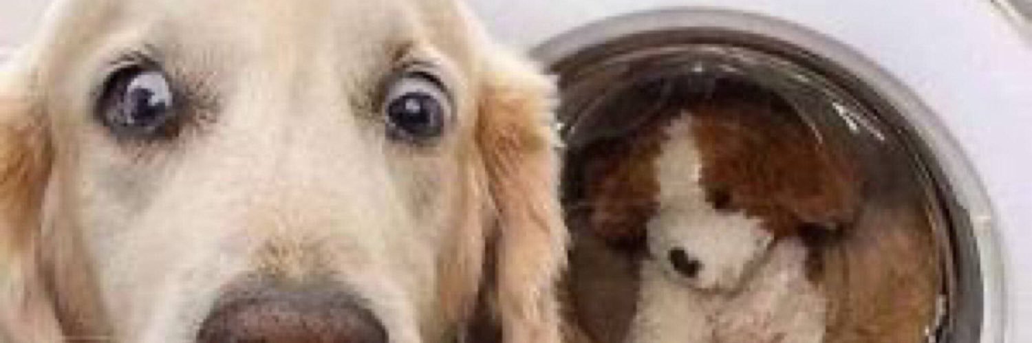 d3v1lsadvocate banner