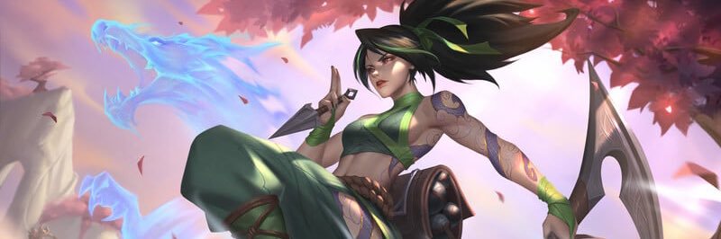 Harris banner