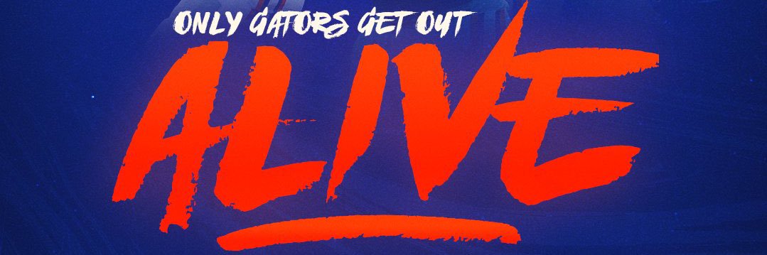 Florida Gators 🐊🔥's banner