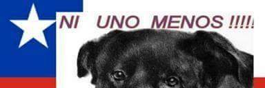 CofreNadia's profile banner image