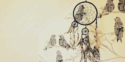 alfnadya's profile banner image