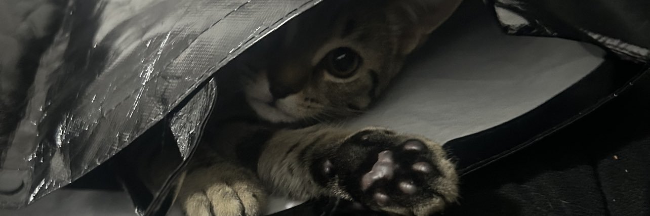 stefaniesabrin2's profile banner image