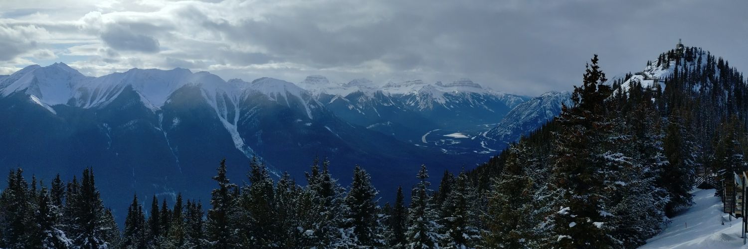 MirandaGcrest's profile banner image