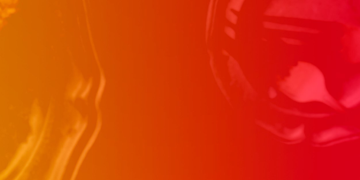 Gerald Kim banner