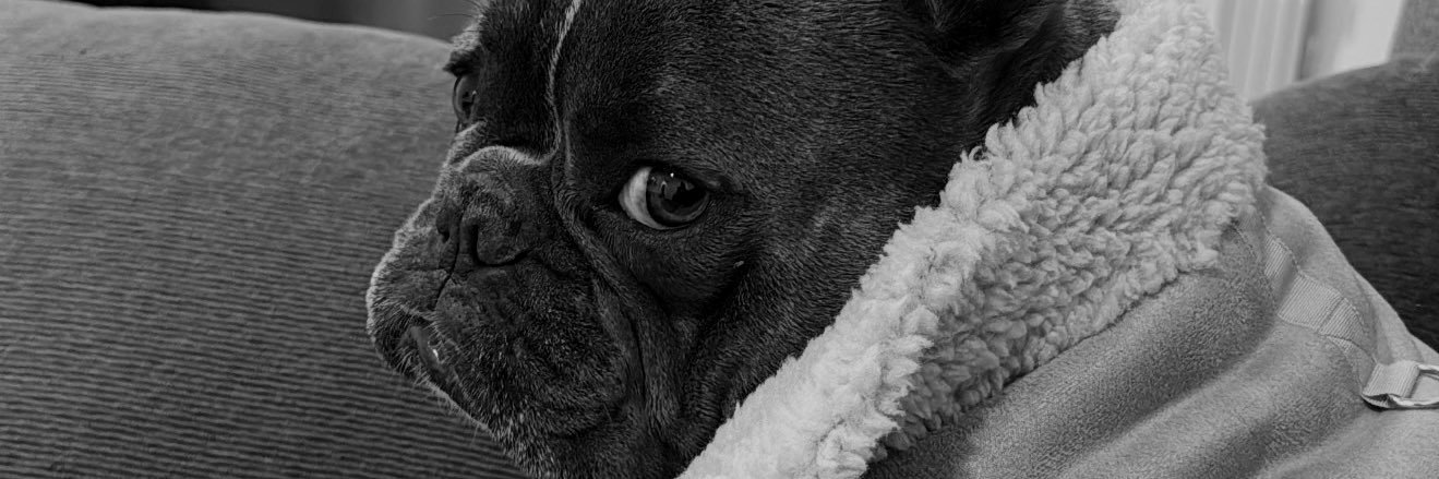pipejus's profile banner image
