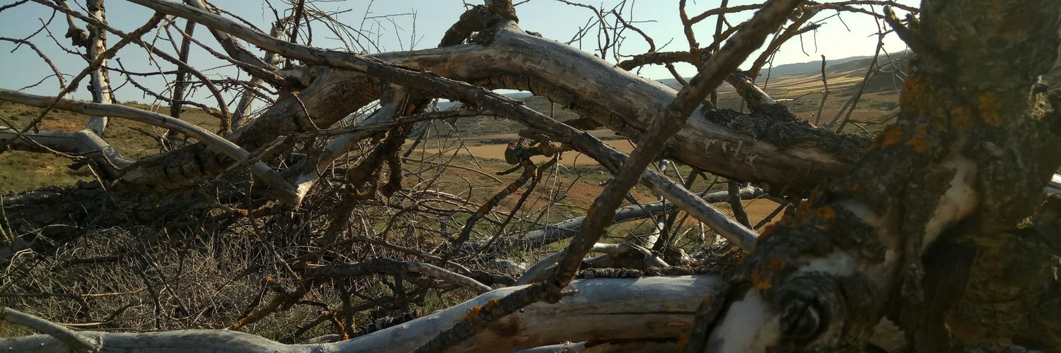 santiperezlo's profile banner image