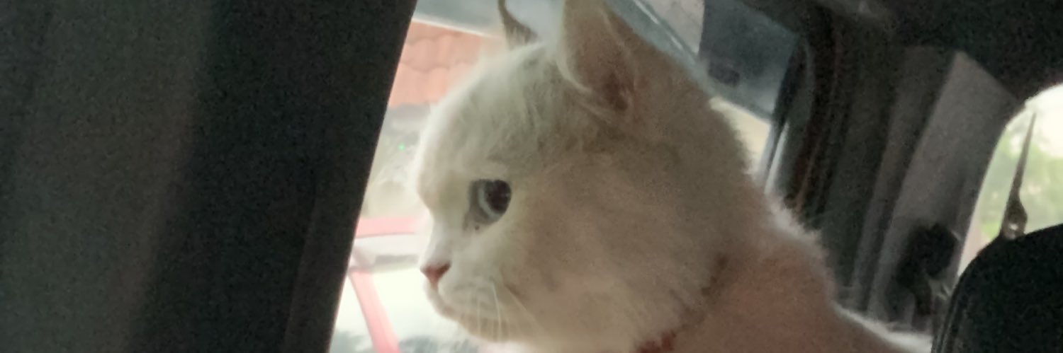 nadhilahnad's profile banner image