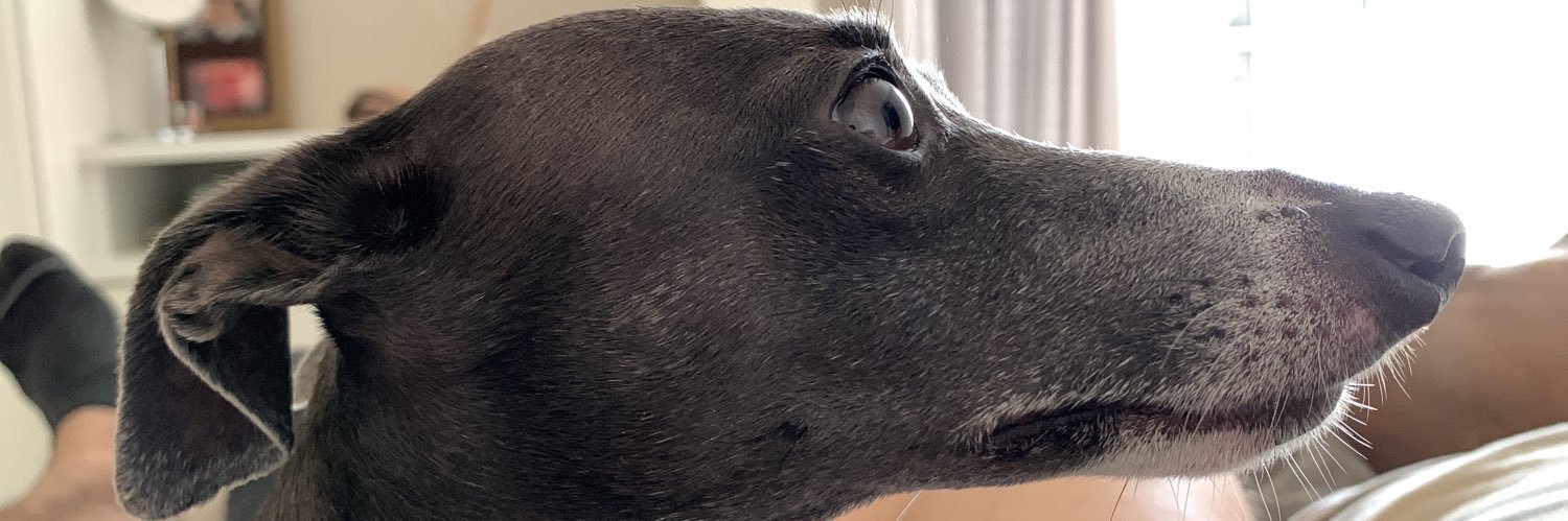 eduozzy's profile banner image