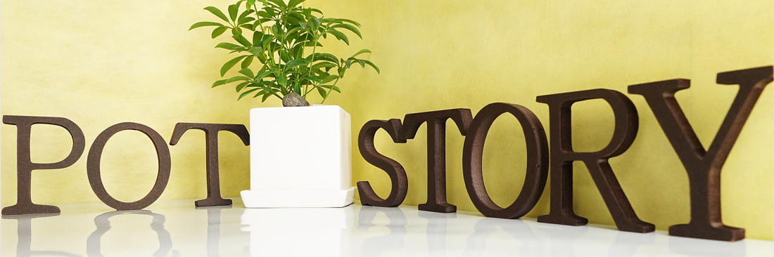 potstory's profile banner image