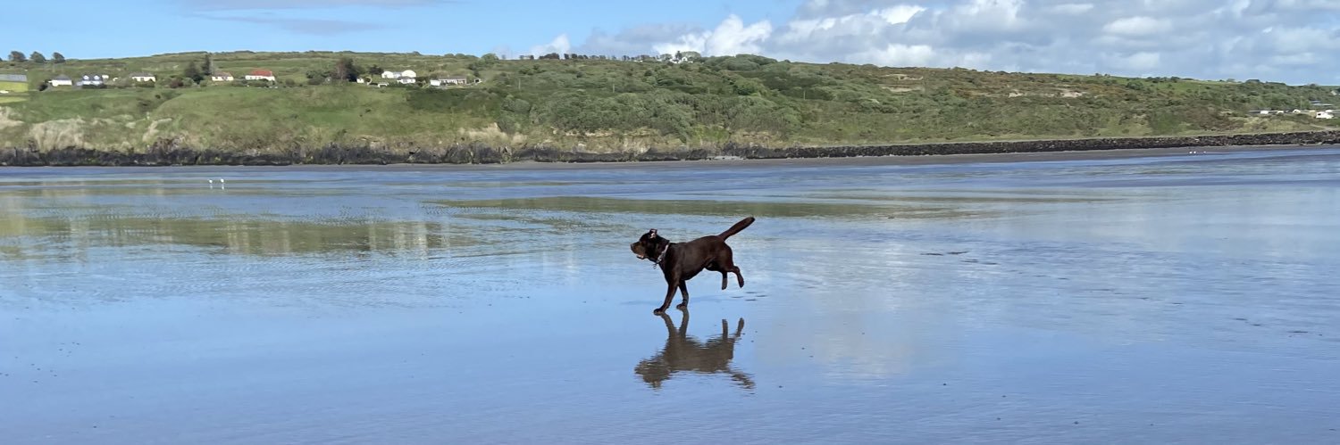 King Arthur Honey 🏴󠁧󠁢󠁷󠁬󠁳󠁿🏴󠁧󠁢󠁷󠁬󠁳󠁿🤎🤎 banner