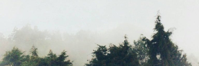 OrkanandaKevin's profile banner image