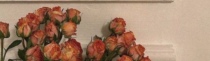 summerwillo7607's profile banner image