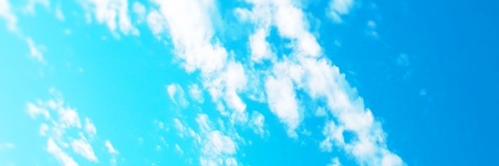 sh20030831's profile banner image