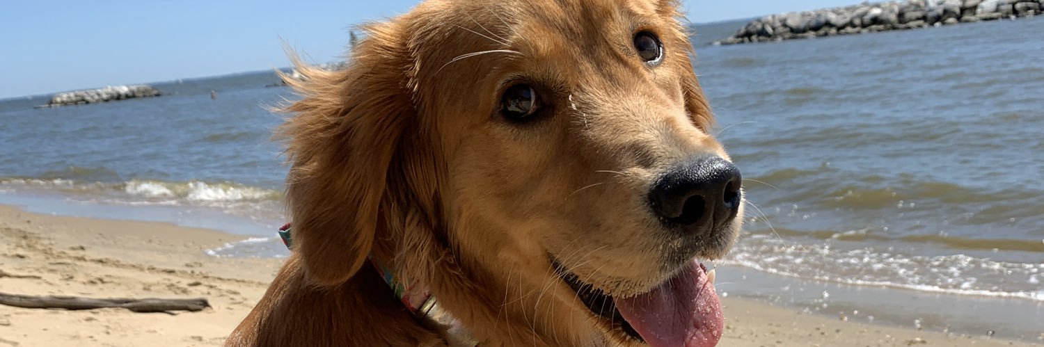 mellyberger's profile banner image