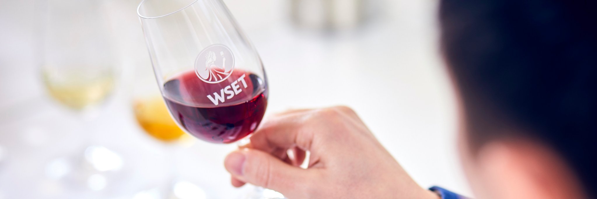WSET School London banner