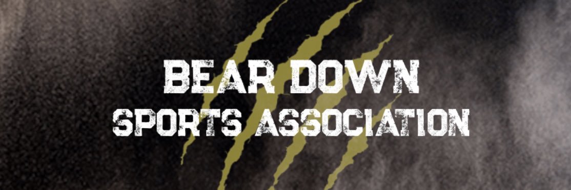BearDownSA's profile banner image