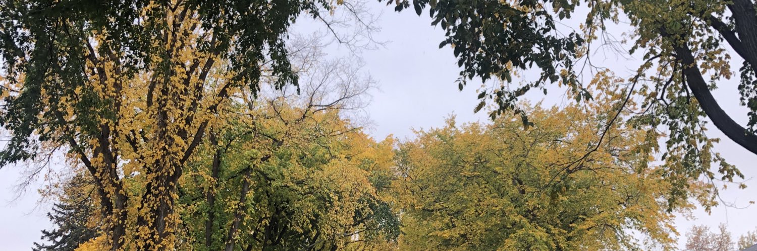 nataleeyaaa's profile banner image