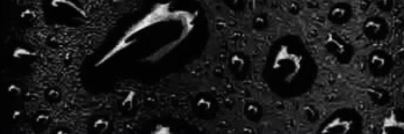 kNIKnacks's profile banner image