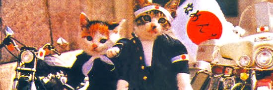 zacroiman's profile banner image
