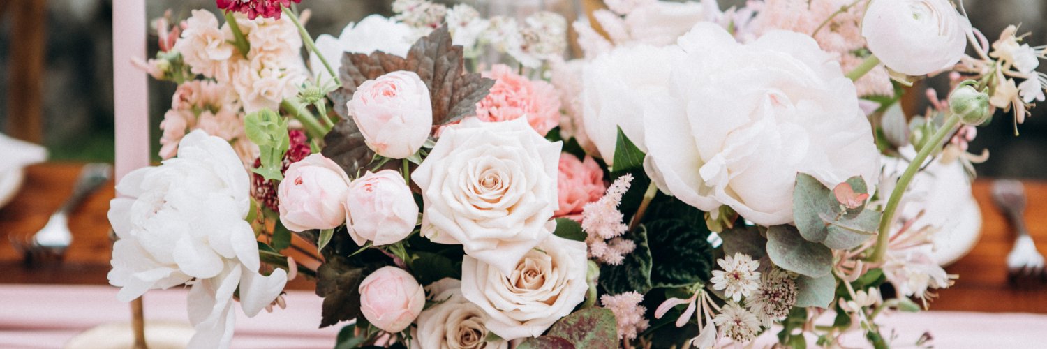 LIBBYgoins's profile banner image