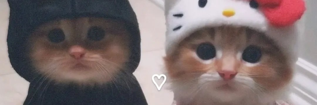 Nikita Zell banner
