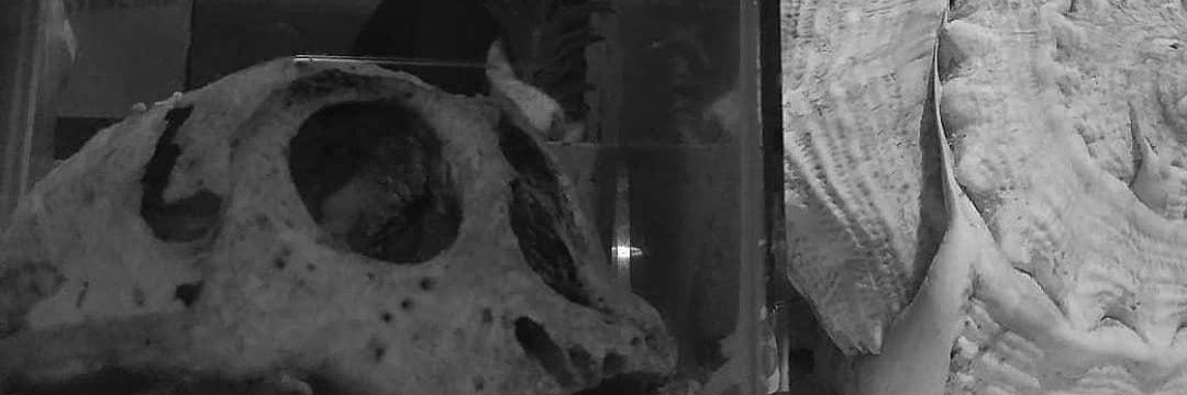 bedilanjing's profile banner image