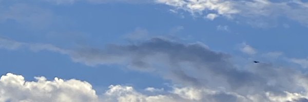 _beeegoo Profile Banner