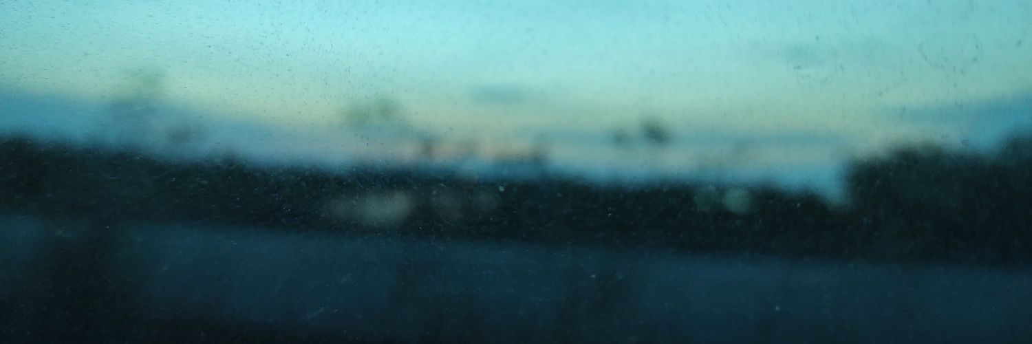 segalnotlean's profile banner image