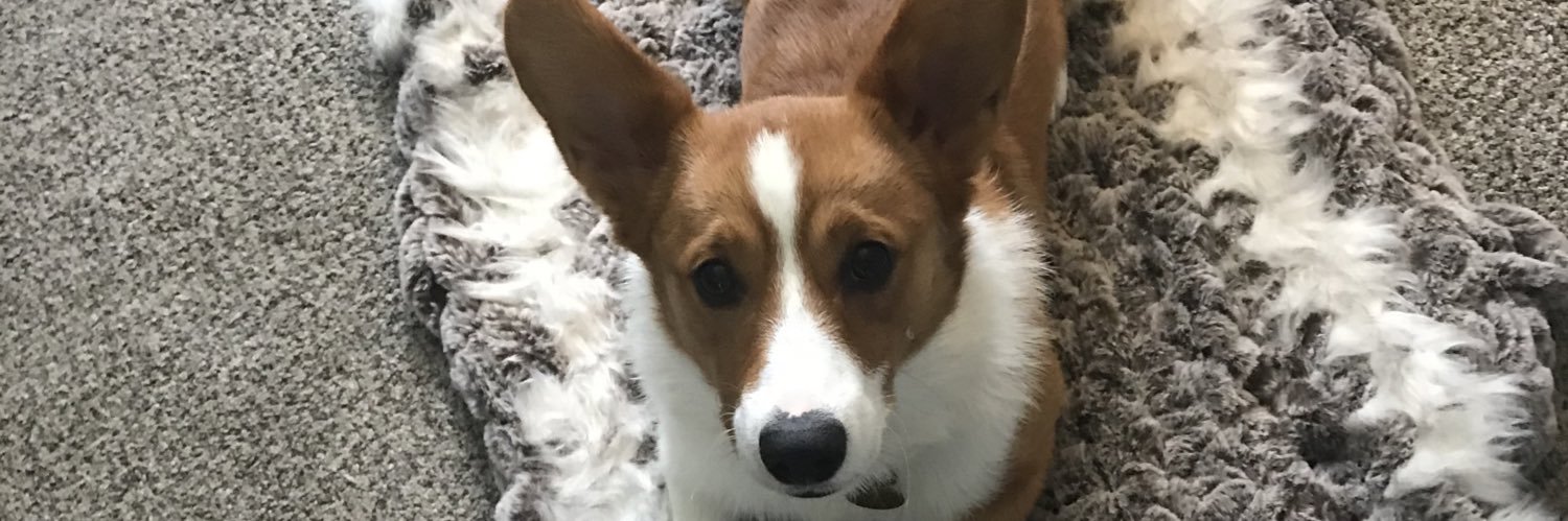 Jennifer Peer banner