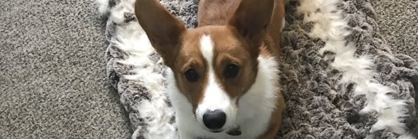 jennpeer Profile Banner