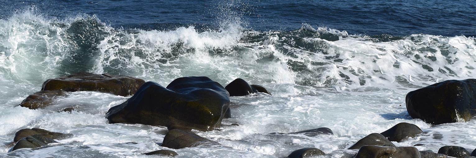 Navigator Magazine banner