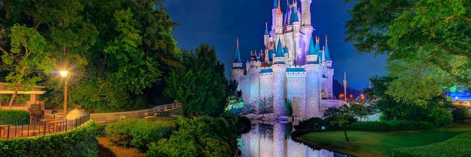 Anna The Kneginja banner