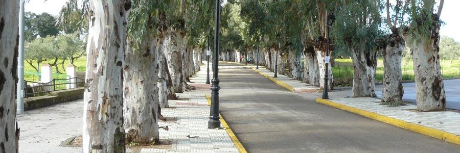 El Pedroso banner