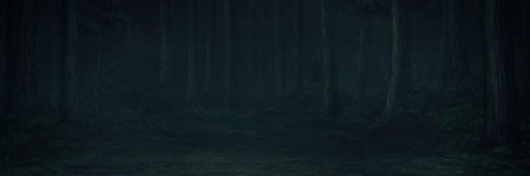 KvS banner