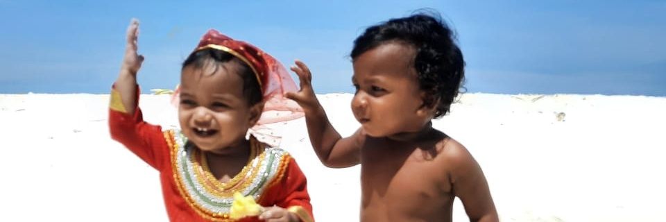 🌴 🦈 🎈 banner