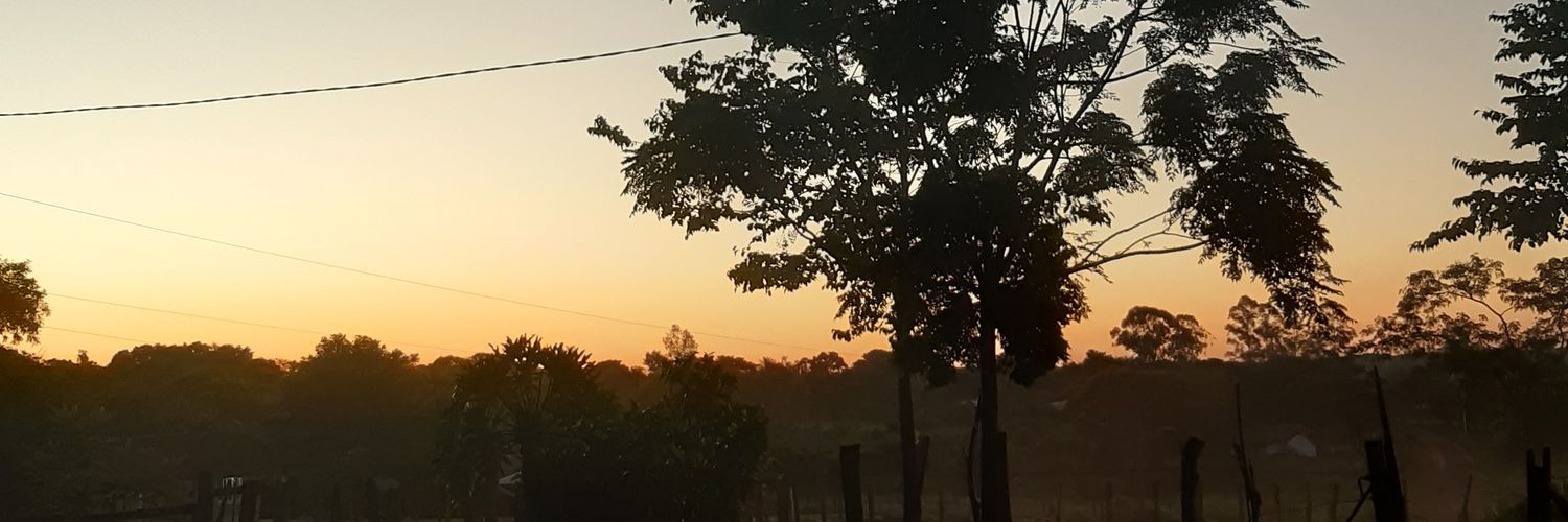 Pitufitago's profile banner image