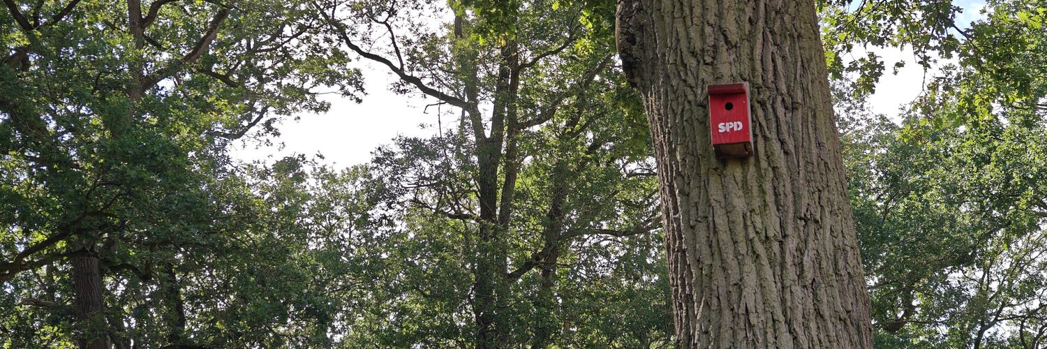 Willibald Wanderstock banner