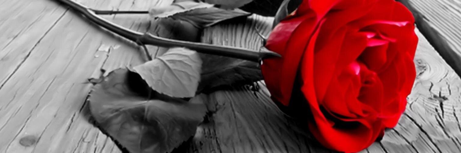 CarrieRose89's profile banner image