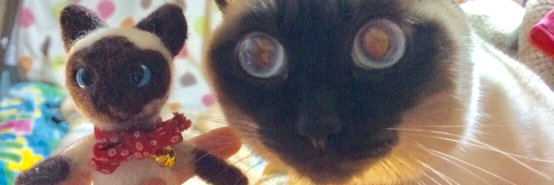 袋小路K♨️いつねこ展：札幌🐈7/29～8/3's banner