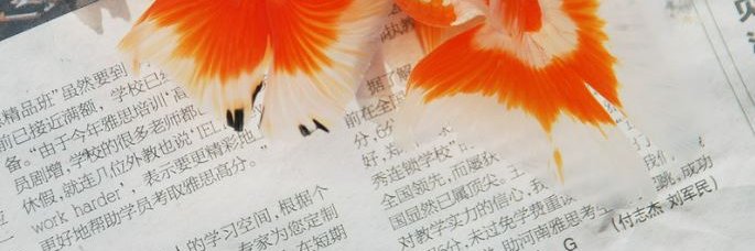 Heeeroine's banner